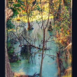 Meet your Posher, Debra